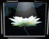 Lotus Flower/Lighted/1