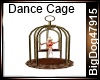 [BD] Dance Cage