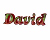 David name