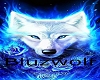 bluzWolf blueoutfit