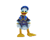 (SS)Donald Duck
