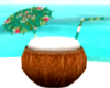 coconut chair