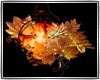 Autumn Lantern Fillers