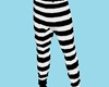 CK Prison Pants