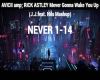 AVICII Never Gonna Wake