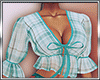 B* Spring  BUNDLE