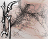 ♱ whisper neck