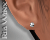 Silver Stud Earrings