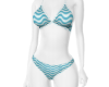 Summer Bikini Waves
