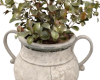 Amphora Potted Plant