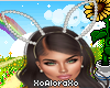 (A) White Bunny Ears