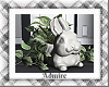 Bunny plant