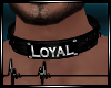 + Loyal Collar M
