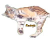 Tiger Sprawl Kenya