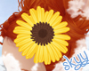 Kids Sunflower in Hair