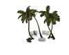 {LS} Palm Swing
