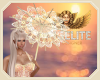 [ang]Sunset Umbrella