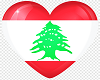 Lebanon flag