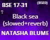 Black sea (s+r) cz 2