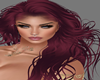 HAIR - BEET