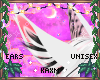 ꨄBlossom Fur Earsꨄ