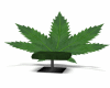 cannabis sofa
