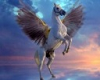 pegasus