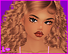 𝓁. hanna ginger