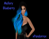 Mallory Blueberry