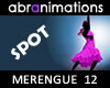 Merengue 12 Dance Spot