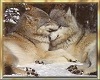 Cuddling Silver Wolves