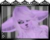 Purple Ears*BVD*