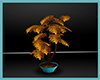 (LIR) MOKA Plants 02.