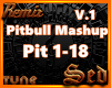 |S| Pitbull Mashup 1