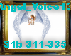 Angel_Voice13