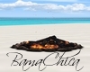 bp Beach/Outdoor Bonfire