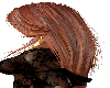 Hairs Meshes