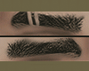 eyebrow with two stripes