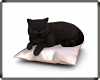 MAU/ LAZY CUTE BLACK CAT
