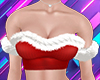 Red S.Claus Top