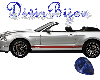 DB 2011 Mustang GT 500