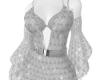 ER| Silver Party Dress