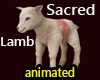 Sacred lamb animated