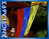 [AA]Bandera Venezuela 2
