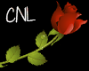 [CNL] Rose filler