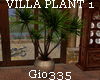 [Gio]VILLA PLANT 1