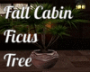 Fall Cabin Ficus Tree