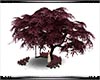 ~S~ Tree with Swing