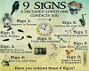 DEAD SIGNS