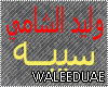 waleed_Alshami Seba